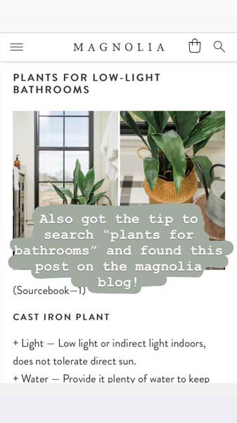 https://magnolia.com/best-houseplants-for-your-bathroom/