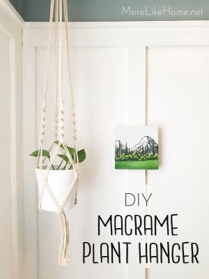 More Like Home: DIY Macrame Hanging Planter (30 minute project!)